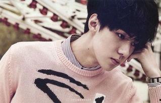 吴世勋私生饭爆料视频,揭秘明星隐私与粉丝狂热  第3张